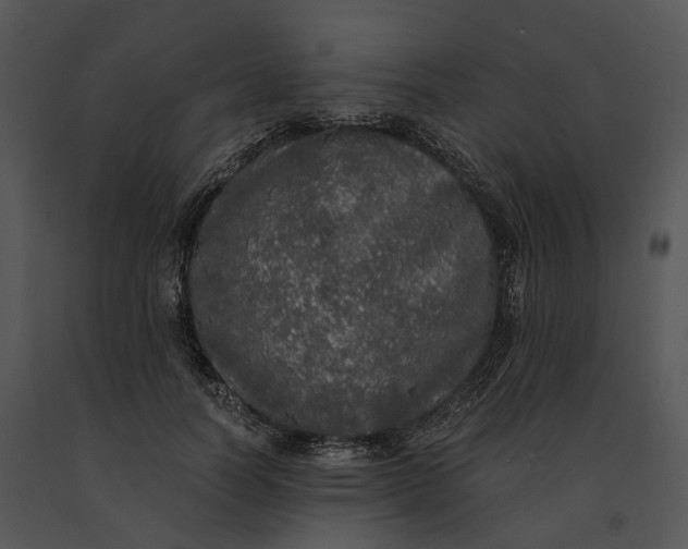 X0000091200746200708301600
