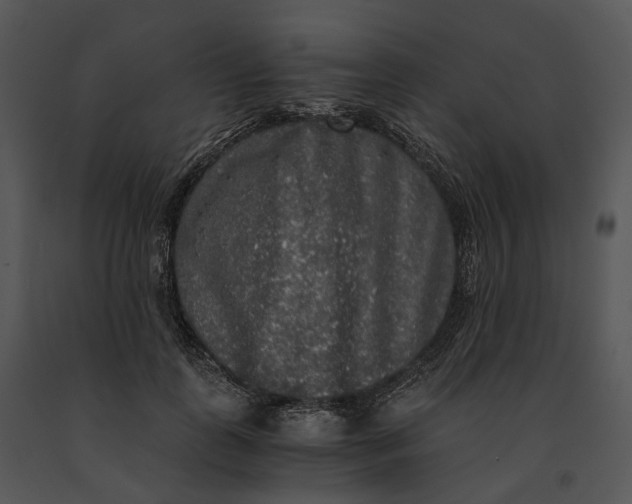 X0000091200747200708301600