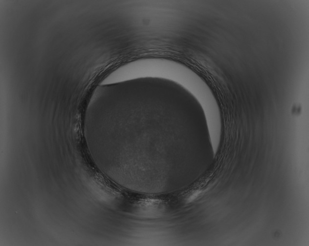 X0000091200748200708301600