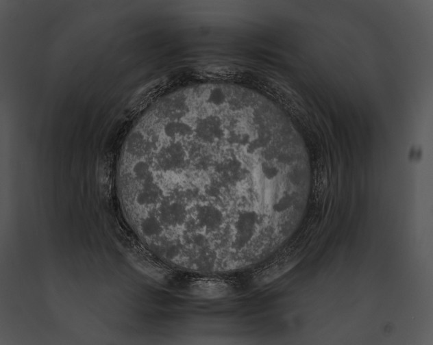 X0000091200749200708301600