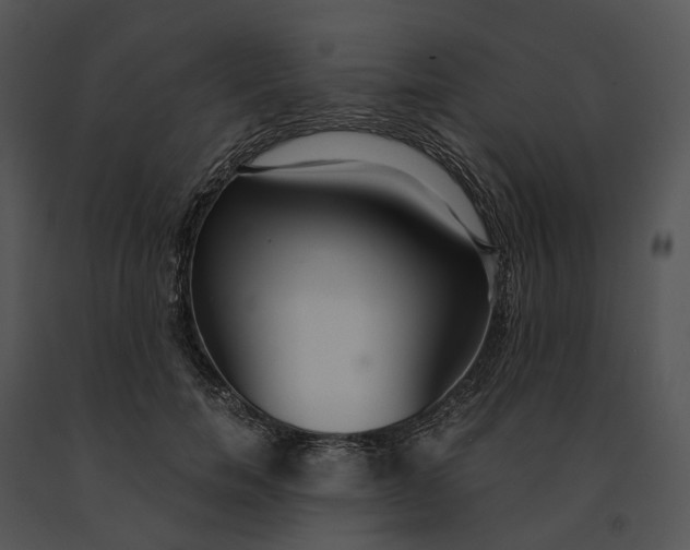 X0000091200750200708301600