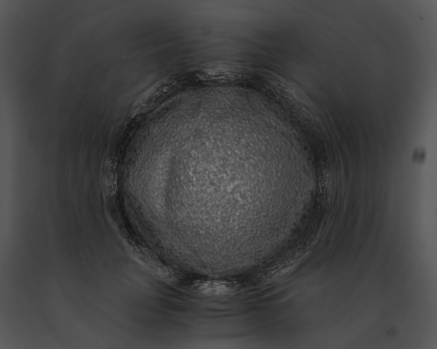X0000091200751200708301600