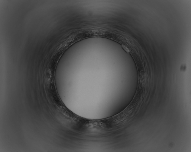 X0000091200752200708301600