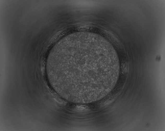 X0000091200753200708301600