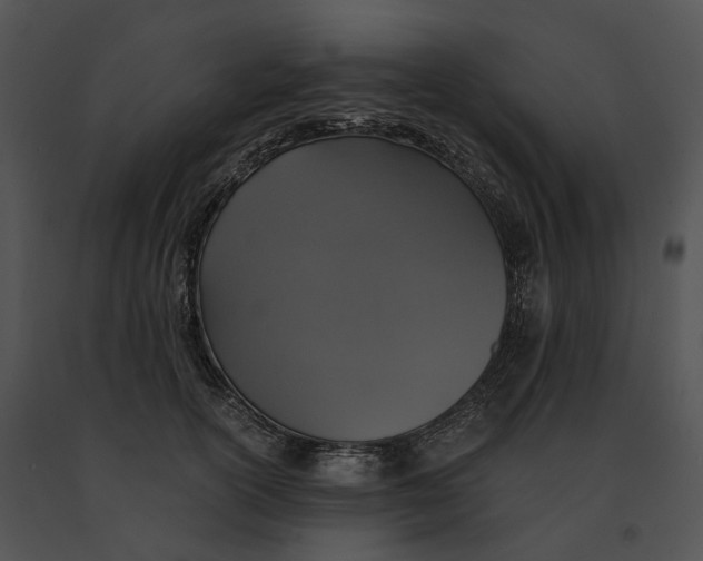 X0000091200754200708301600