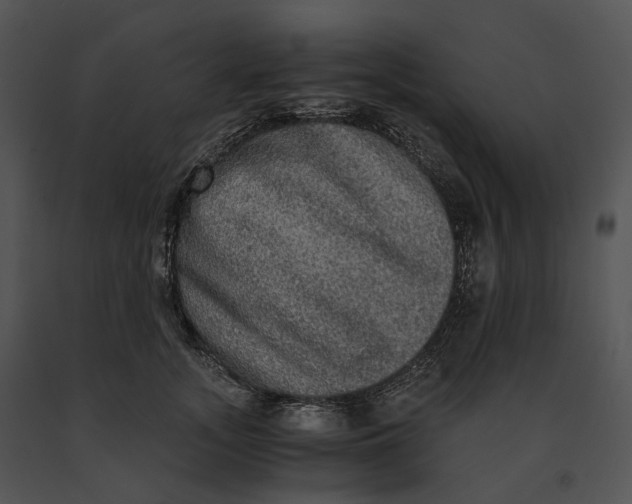 X0000091200755200708301600