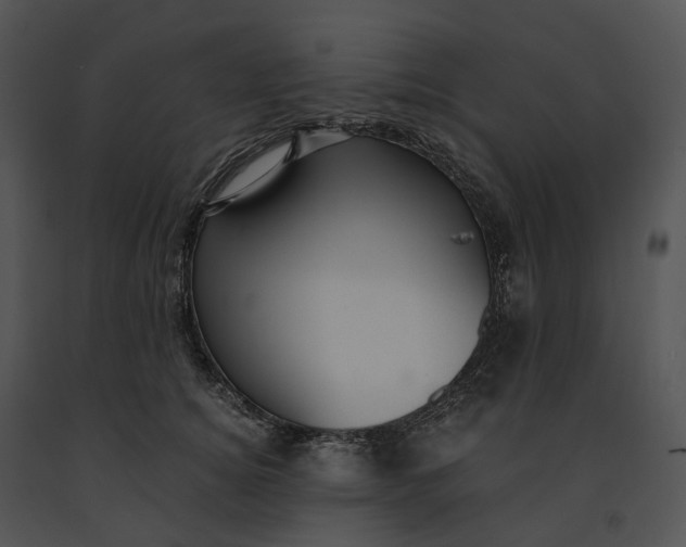 X0000091200756200708301600