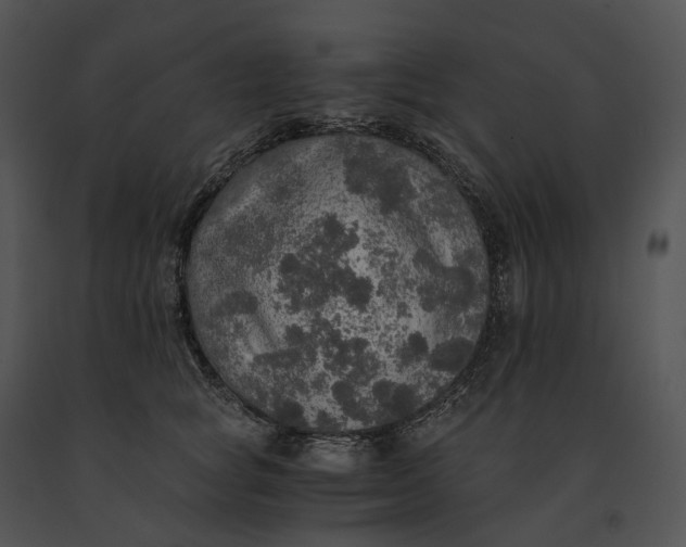 X0000091200757200708301600