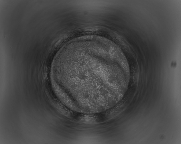 X0000091200758200708301600
