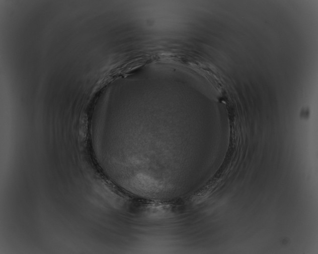 X0000091200760200708301600