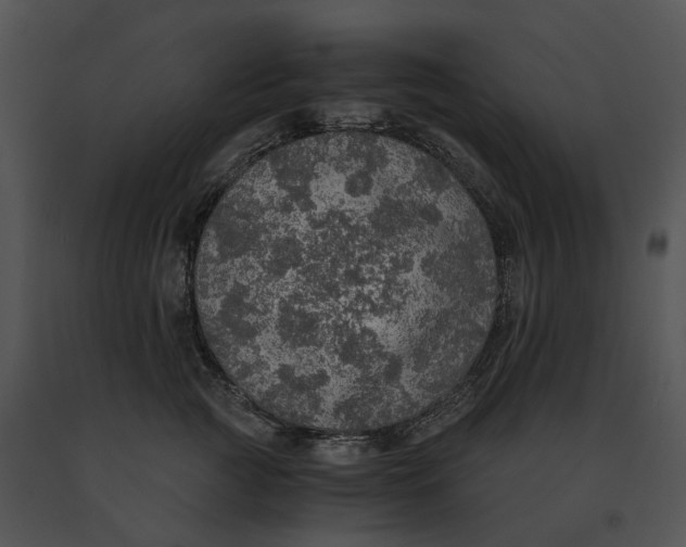 X0000091200761200708301600