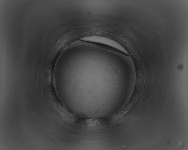 X0000091200762200708301600