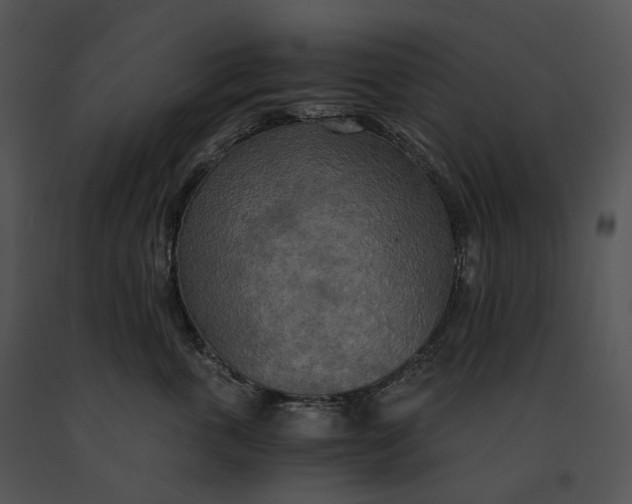 X0000091200763200708301600