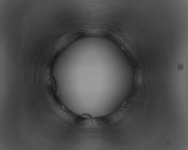 X0000091200764200708301600