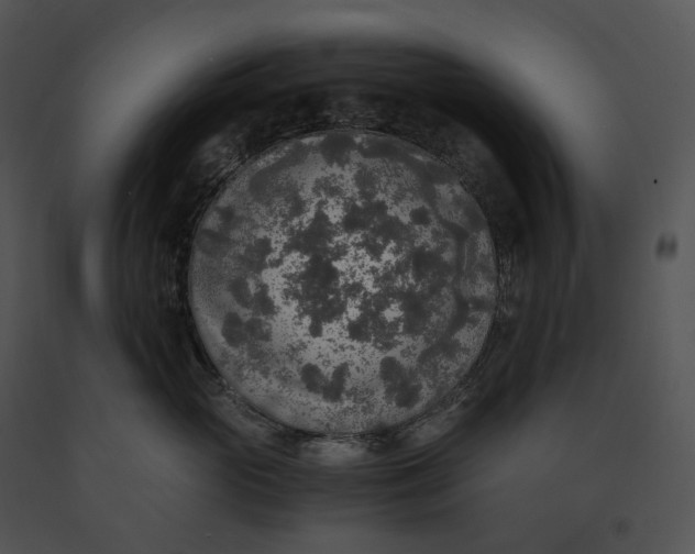 X0000091200765200708301600