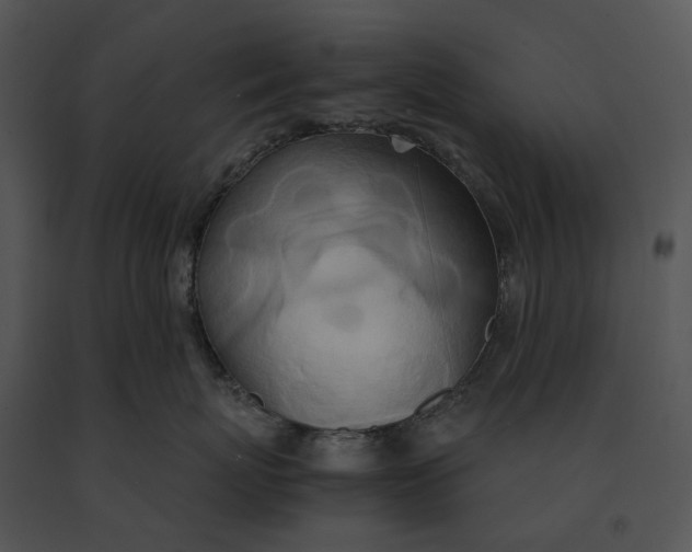 X0000091200767200708301600