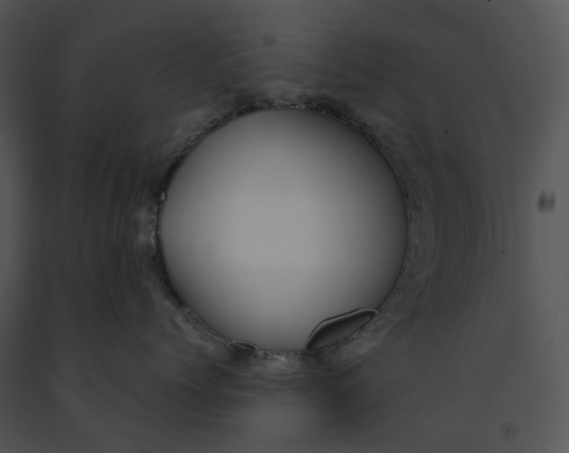 X0000091200768200708301600