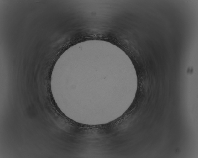 X0000091200769200708301559