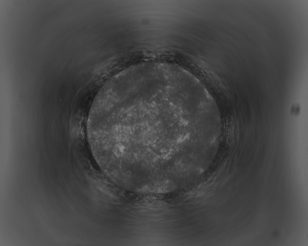 X0000091200770200708301559