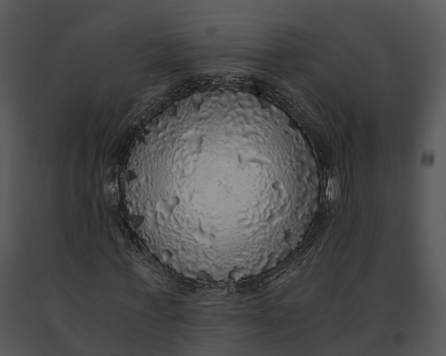 X0000091200771200708301559