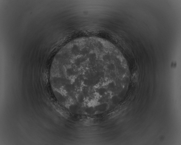X0000091200772200708301559