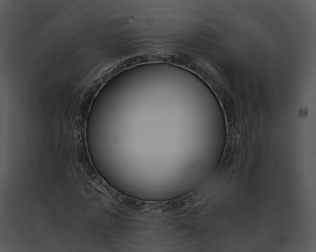 X0000091200773200708301559