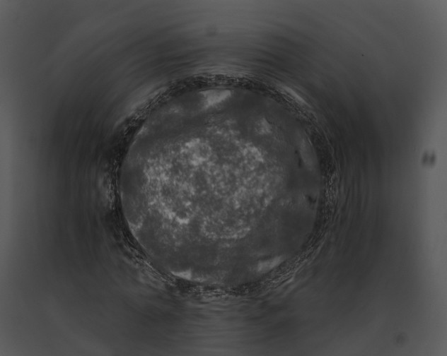 X0000091200774200708301559
