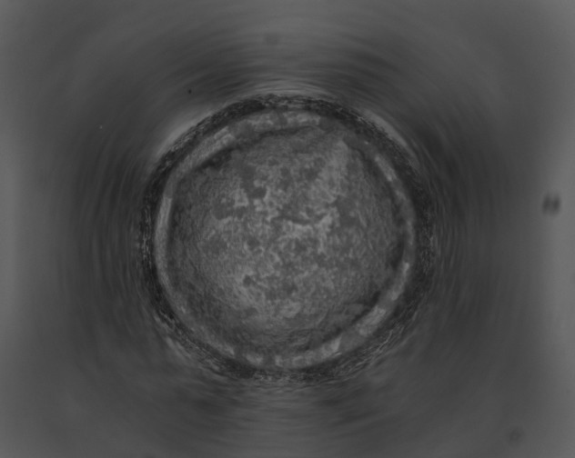 X0000091200775200708301559