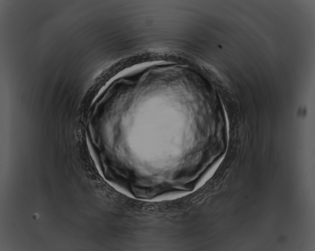 X0000091200776200708301559