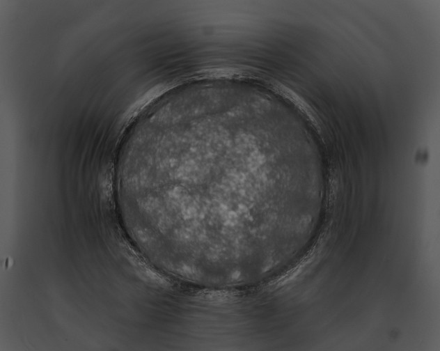 X0000091200778200708301559