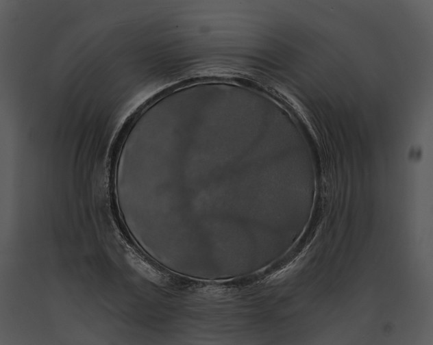 X0000091200779200708301559