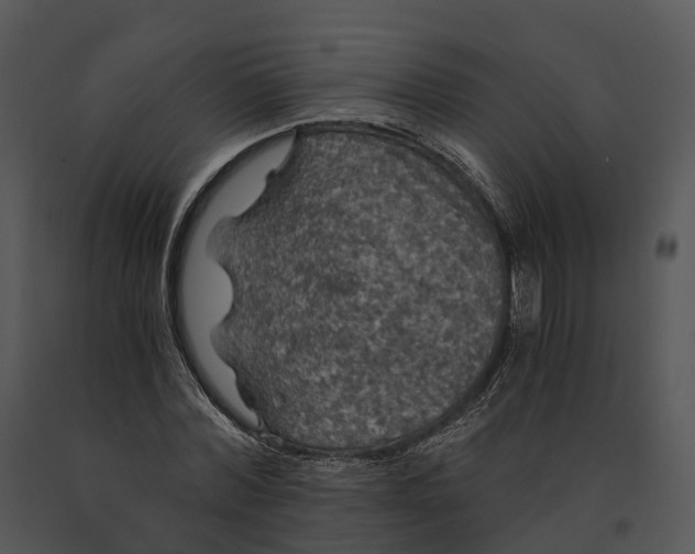 X0000091200780200708301559