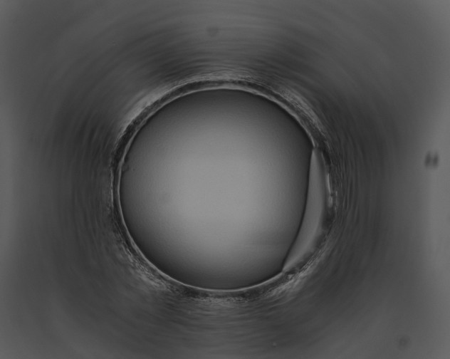 X0000091200781200708301559