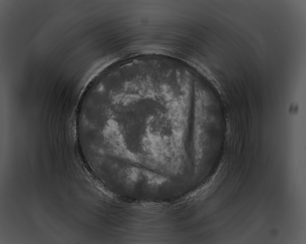X0000091200782200708301559