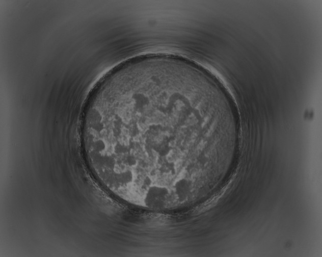 X0000091200783200708301559
