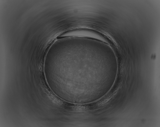 X0000091200785200708301559