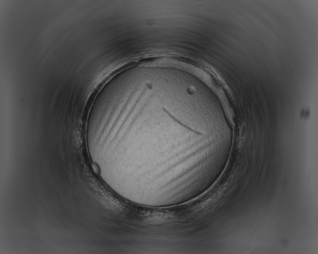 X0000091200786200708301559