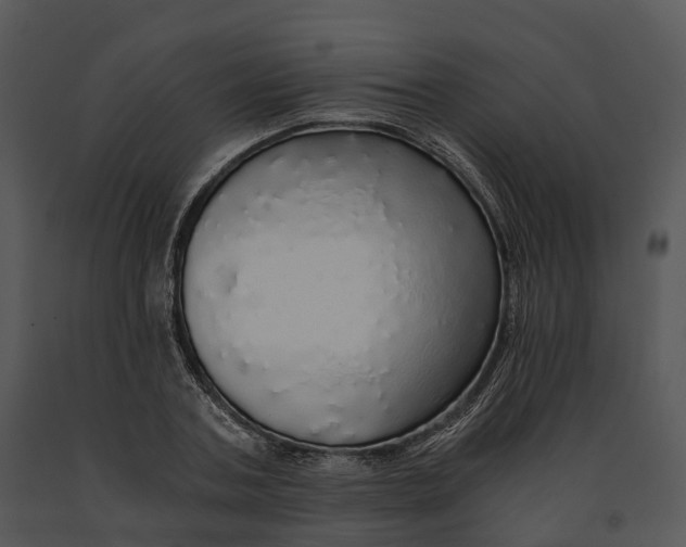 X0000091200787200708301559