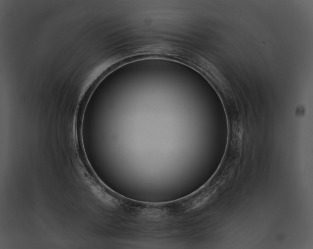 X0000091200788200708301559