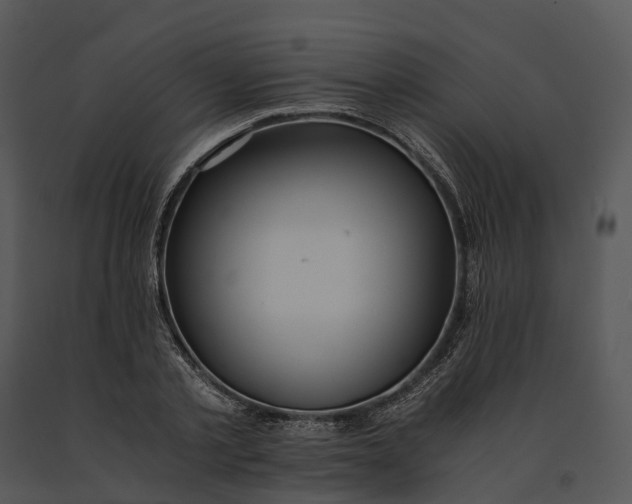 X0000091200789200708301559