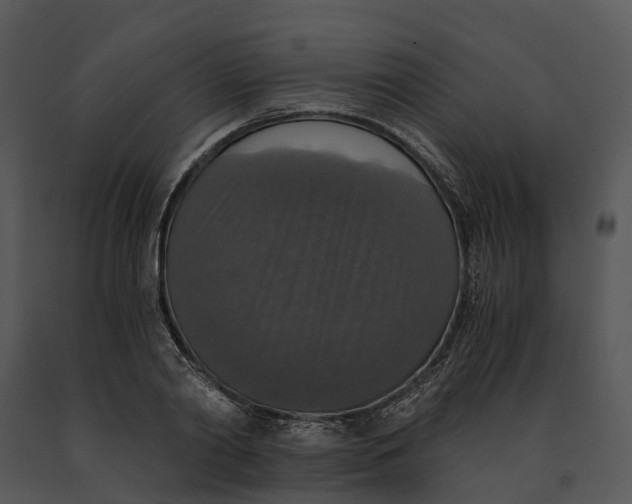 X0000091200790200708301559
