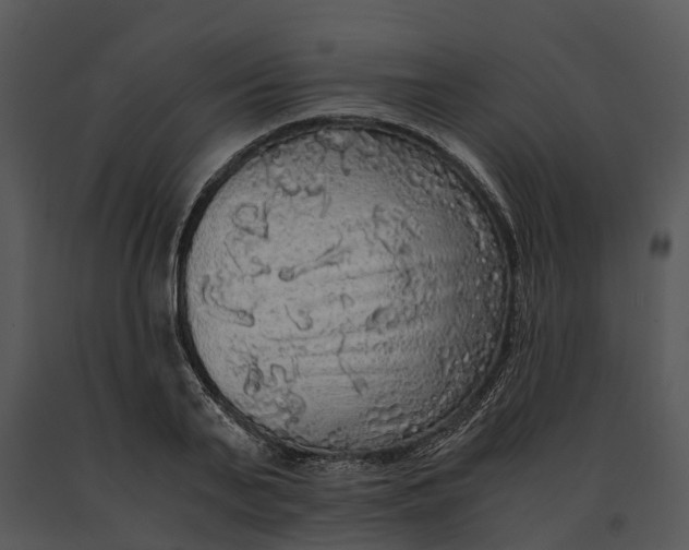 X0000091200791200708301559