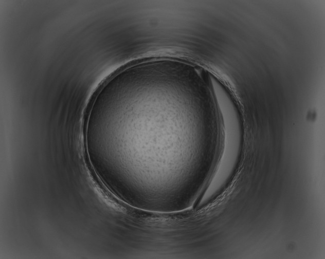 X0000091200792200708301559