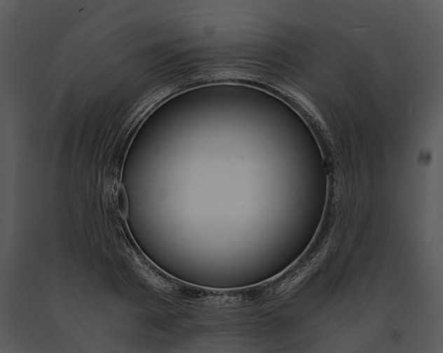 X0000091200793200708301559