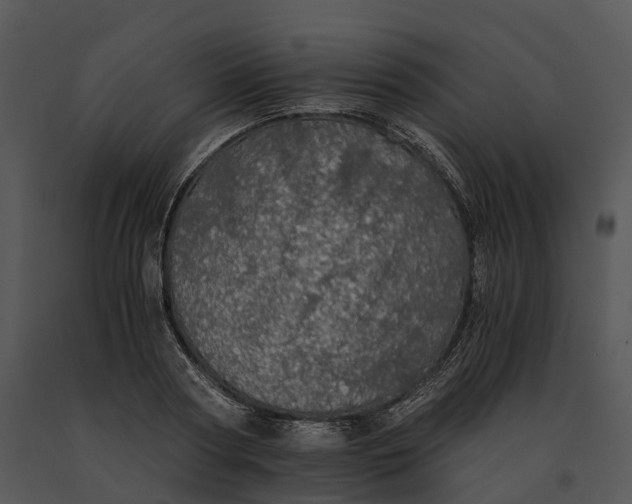 X0000091200794200708301559