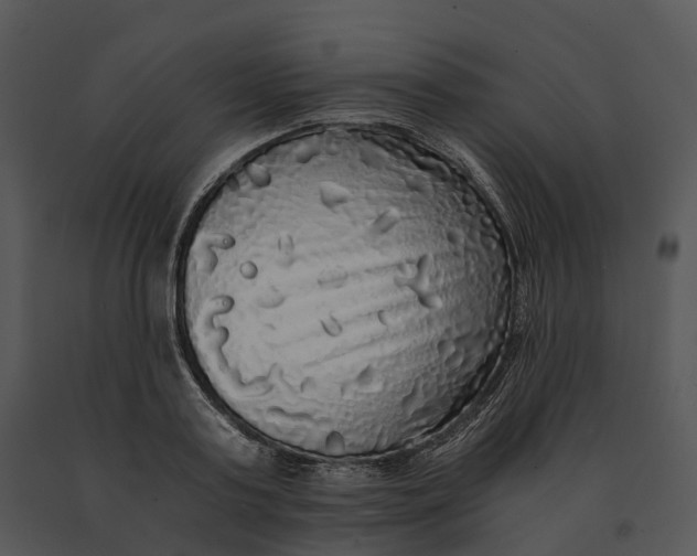 X0000091200795200708301559
