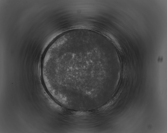 X0000091200796200708301559