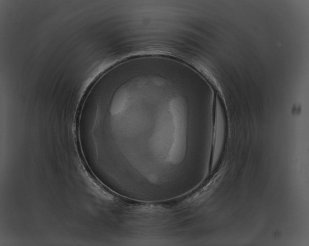 X0000091200797200708301559