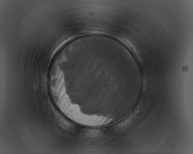 X0000091200798200708301559