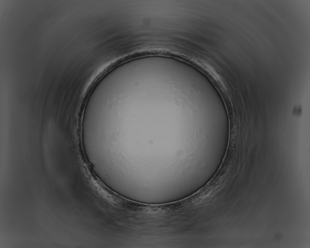 X0000091200799200708301559